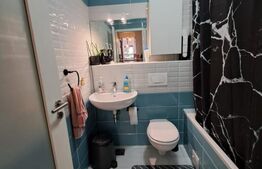 Apartament 3 camere cu gradina in Tractoru