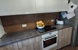 Apartament 3 camere cu gradina in Tractoru