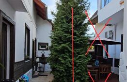 Casa individuala in inima orasului + spatiu comercial 