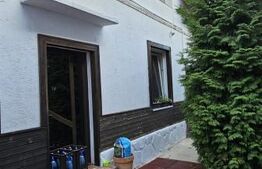 Casa individuala in inima orasului + spatiu comercial 