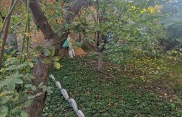 Casa Parter, individuala ,3 camere 96 mp Sanpetru zona linistita 