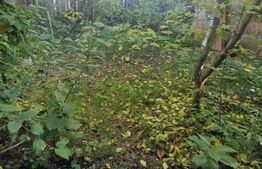 Casa Parter, individuala ,3 camere 96 mp Sanpetru zona linistita 