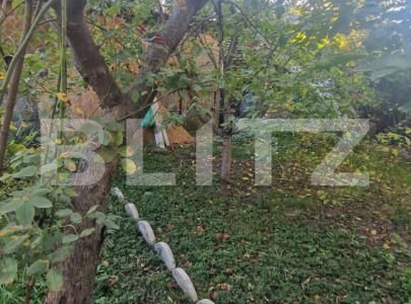 Casa de vânzare 3 camere Sanpetru - 159137CV | BLITZ Brașov | Poza14