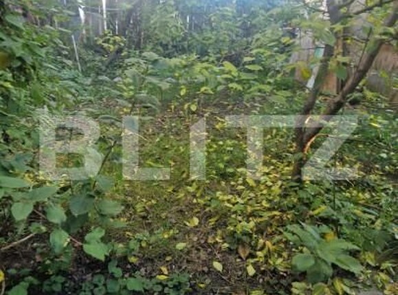 Casa de vânzare 3 camere Sanpetru - 159137CV | BLITZ Brașov | Poza13