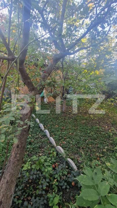 Casa de vânzare 3 camere Sanpetru - 159137CV | BLITZ Brașov | Poza14