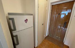 Garsoniera, 30 mp, etaj intermediar, zona Iulius Mall