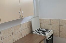 Garsoniera, 30 mp, etaj intermediar, zona Iulius Mall