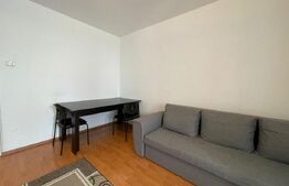 Garsoniera, 30 mp, etaj intermediar, zona Iulius Mall