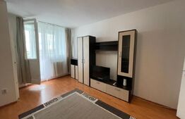 Garsoniera, 30 mp, etaj intermediar, zona Iulius Mall