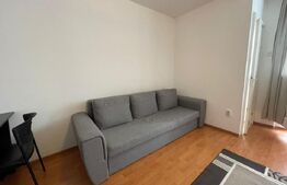 Garsoniera, 30 mp, etaj intermediar, zona Iulius Mall