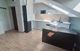  Apartament cu o camera, la cheie, zona Atelierul de Pizza!