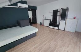  Apartament cu o camera, la cheie, zona Atelierul de Pizza!