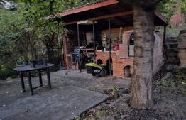 Casa  5 camere, 140 mp, curte,parcare , pet friendly, zona Strazii Spicului