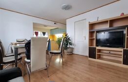 Casa  5 camere, 140 mp, curte,parcare , pet friendly, zona Strazii Spicului