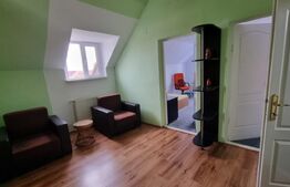 Casa  5 camere, 140 mp, curte,parcare , pet friendly, zona Strazii Spicului
