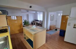 Casa  5 camere, 140 mp, curte,parcare , pet friendly, zona Strazii Spicului