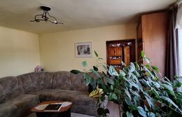 Casa renovabila/demolabila cu teren de 365 mp, zona Paris