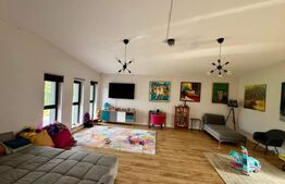 Casa in Feleacu, in mijlocul naturii mobilata sau nemobilata