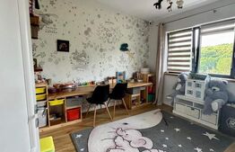 Casa in Feleacu, in mijlocul naturii mobilata sau nemobilata