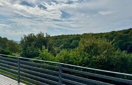 Casa in Feleacu, in mijlocul naturii mobilata sau nemobilata