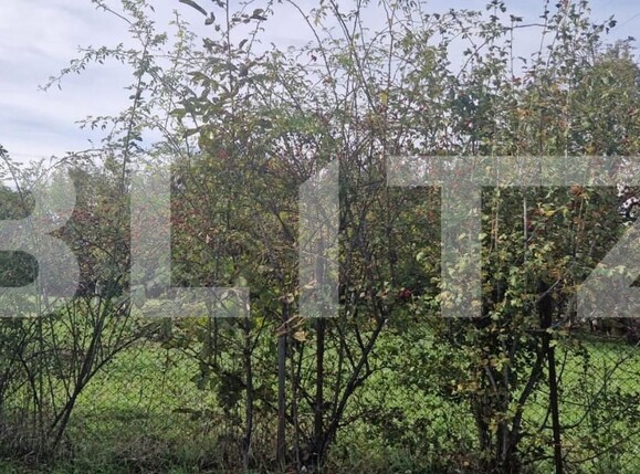 Teren de vânzare Făget - 159244TV | BLITZ Cluj-Napoca | Poza1