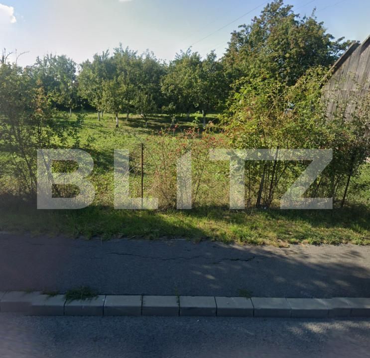 Teren de vânzare Făget - 159244TV | BLITZ Cluj-Napoca | Poza9