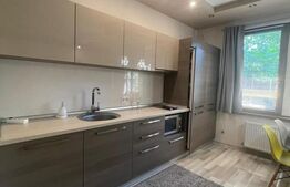 Apartament 2 camere, 50 mp, parcare, zona Parcul Babes