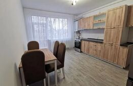 Apartament o camera, 50mp, zona Borhanci 