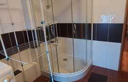 Apartament cu 3 camere, 90 mp, imobil tip casa, pet friendly,  zona strazii Bobalnei