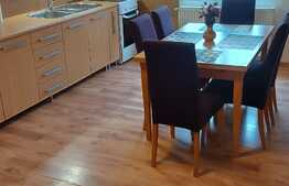 Apartament cu 3 camere, 90 mp, imobil tip casa, pet friendly,  zona strazii Bobalnei