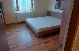 Apartament cu 3 camere, 90 mp, imobil tip casa, pet friendly,  zona strazii Bobalnei