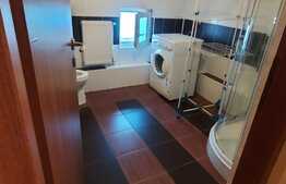 Apartament cu 3 camere, 90 mp, imobil tip casa, pet friendly,  zona strazii Bobalnei