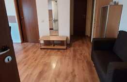 Apartament cu 3 camere, 90 mp, imobil tip casa, pet friendly,  zona strazii Bobalnei