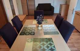 Apartament cu 3 camere, 90 mp, imobil tip casa, pet friendly,  zona strazii Bobalnei