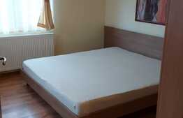 Apartament cu 3 camere, 90 mp, imobil tip casa, pet friendly,  zona strazii Bobalnei