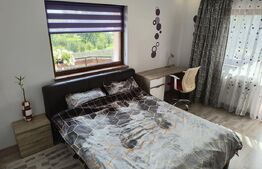 Vila - 4 camere, mobilata lux, Stupini - Brasov