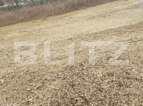 Teren de vânzare Someşu Rece - 159324TV | BLITZ Cluj-Napoca | Poza3