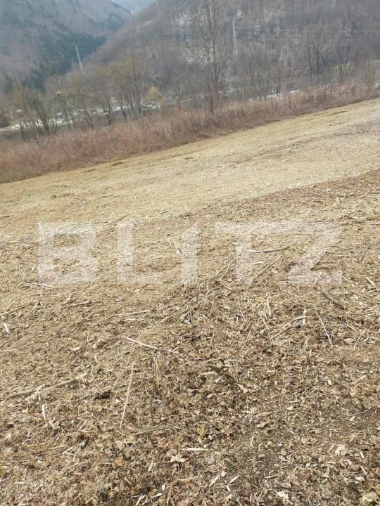 Teren de vânzare Someşu Rece - 159324TV | BLITZ Cluj-Napoca | Poza3