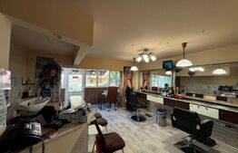 Spațiu Comercial Versatil, Potențial de Conversie în Apartament Modern