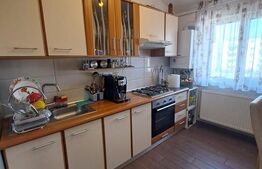 Apartament 2 camere, Tractoru