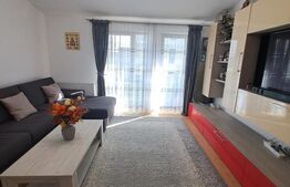 Apartament 2 camere, Tractoru