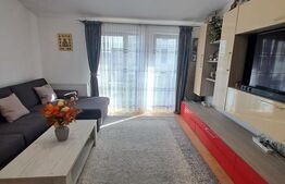 Apartament 2 camere, Tractoru