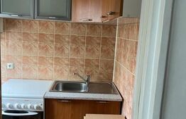 Garsonieră spațioasă în Bartolomeu