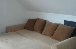 Apartament 2 camere, 50mp, zona aleea Negoiu 