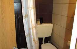 1 camera open-space cu mezanin, mobilat dragut, zona Piata Muzeului