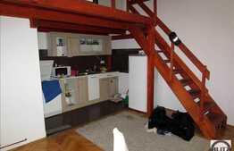 1 camera open-space cu mezanin, mobilat dragut, zona Piata Muzeului