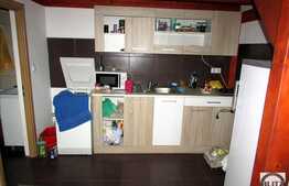 1 camera open-space cu mezanin, mobilat dragut, zona Piata Muzeului