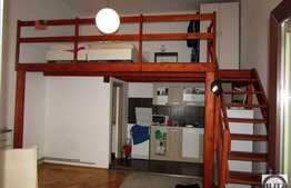 1 camera open-space cu mezanin, mobilat dragut, zona Piata Muzeului