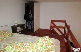 1 camera open-space cu mezanin, mobilat dragut, zona Piata Muzeului