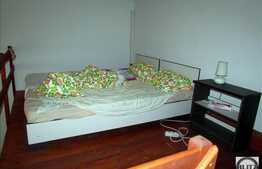 1 camera open-space cu mezanin, mobilat dragut, zona Piata Muzeului